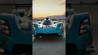 Sea Animal Turns Into a Car!?  Epic Ocean Road Moment!
