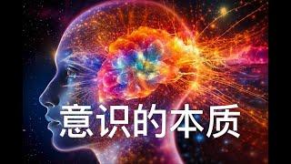 意识的本质