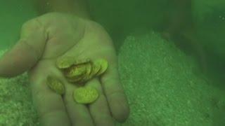 Divers Discover 1715 Treasure Off Florida Coast