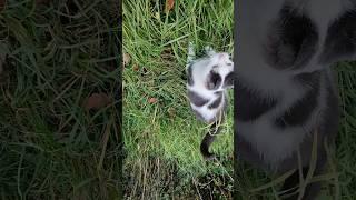 #сильныедухом   #роднаядуша #душачеловека #мисильні  #другаяреальность  #українкаунімеччині