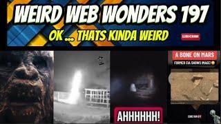 weird web wonders 197