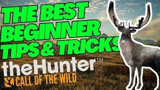 WATCH THIS VIDEO If Your a BEGINNER at COTW!!! - theHunter: Call of the Wild