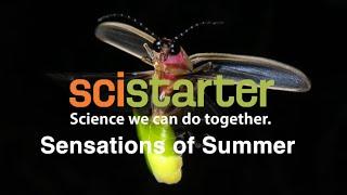 SciStarter Podcast: Sensations of Summer– VIDEO