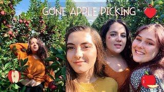 Going Apple Picking | Katie Isabella