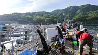 これが日本最強の海釣り公園だ！とっとパーク最新情報