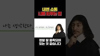 내면 소통 #자기계발  #데카르트 #나는누구인가 #shorts