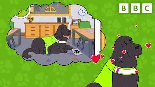 Get To Know Sylvie the Therapy Dog! | Dog Squad | CBeebies