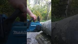 Makita Akku Kettensäge 36v durch Buchenstamm