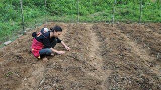 Triệu Thị Long | A single mother earns money to raise her children alone, what will life be like?