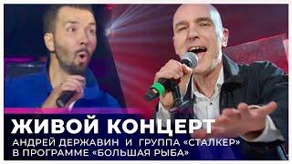 Андрей Державин • live 2023 (программа «Большая Рыба», ведущий Денис Клявер)