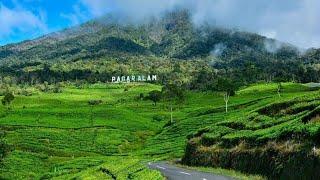 Mount Dempo at Pagar Alam | Gunung Dempo Pagaralam (4K)