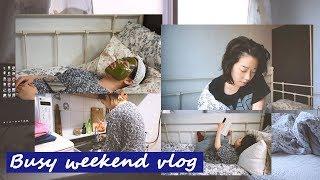 Busy Weekend Vlog I 바쁜 주말 브이로그 I 김갈릭