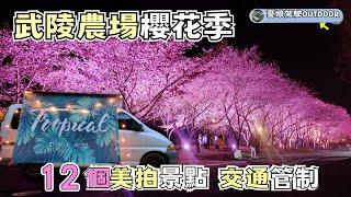 宜蘭武陵農場【櫻花季12大美拍景點｜台7線】武陵農場露營區環島旅行｜露營車｜Vanlife《憂娘駕駛Outdoor》