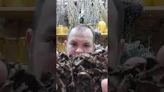 золотой корень/ родиола розовая