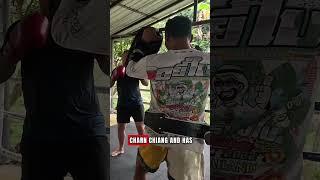 3 Muay Thai Gyms In Pai  #muaythai #thaiboxing #martialarts #pai