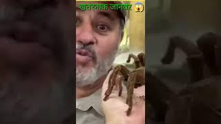 जंगल में पाए जाने वाले dangerous animals#viralvideo#shortsvideo #ytshorts#factvideo