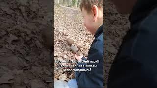 Что любят кушать белочки?!