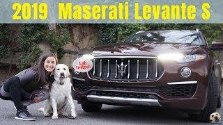 2019 Maserati Levante S GranLusso: Andie the Lab Review! #Maserati #Levante #AndietheLab