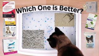 Best Cat Litter For Multiple Cats (Extremely Thoroughly Tested)