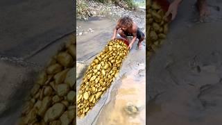 Latest discovery !! I found a pile of gold bars, on the river bank #golddiscovery #findgold #goldbar