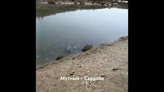 Рыбалка в Узбекистане! Слияние канала с Мутным. Качество видео скоро будет улучшаться.