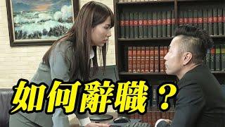 想辭職又不知道怎麼跟老闆說？這幾個辭職理由超好用【Whole空翻】