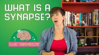 What is a synapse?