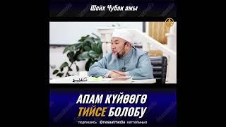 АПАМ КУЙООГО ТИЙСЕ БОЛОБУ. ШЕЙХ ЧУБАК АЖЫ ЖАЛИЛОВ