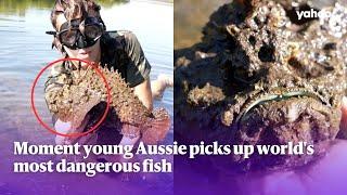 Moment young Aussie picks up world's most dangerous fish | Yahoo Australia