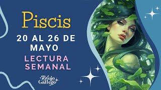 #Piscis Semanal: 20 a 26 de Mayo  Genial ️ Aprovecha ahora!   Brujo Gallego 