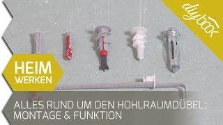 Alles rund um den Hohlraumdübel: Montage & Funktion