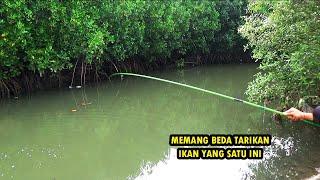 AMPUN DAH !! Kalau strike ikan seperti ini tarikan nya bikin dag dig dug