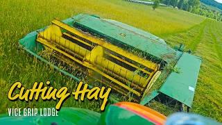 Cutting Hay With A CHEAP John Deere Hay Conditioner!