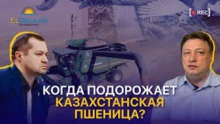 Цены на пшеницу, заморозки в РФ и альтернативные культуры для экспорта из Казахстана