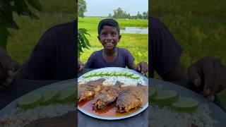 Spicy Fish curry with Rice Eating #Mukbang #EatingShow #BigBites #shortsfeed #fish