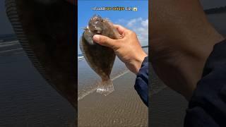 WOW! i found rare unique fish trapped in beach 