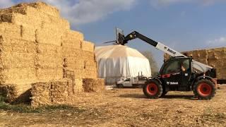 Verasa Maquinaria - Bobcat TH aplicación ganadera