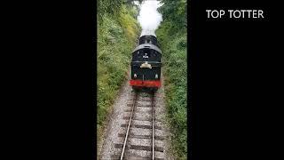 GWR 5542 'The Devonian' 2-6-2T flyby Buckfastleigh South Devon Railway 2021