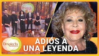 El adiós a Silvia Pinal: su vida, carrera y anécdotas | Despierta América