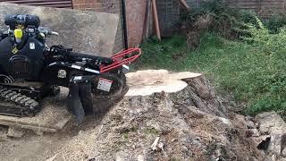 Bandit Stump Grinder ZT1844  UK  Large Ash