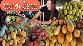 ຫມາກໄມ້ລາວສົດໆຈາກສວນຊາວບ້ານ/ผลไม้ลาวสดๆจากสวนชาวบ้าน/Lao Organic Fruit & Vegetable