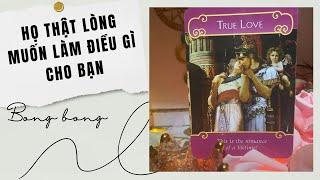 Tarot  Họ thật lòng muốn làm gì cho bạn?