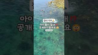 역대급 스노클링 성지 아이들이 절대 공개 하지 말라는 바다️ #차박 #바다 #스노클링 #스노쿨링 #여행 #여행정보 #캠핑 #낚시 #문어