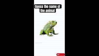 Guess the name of the animal | Quiz Games | Livestream | Road to 100K | Quiz Pages's Live broadcast