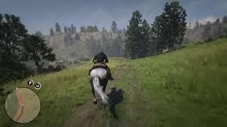 RDR2 Valentine Bank Robbery