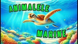  ANIMALELE MARINE - Oceanul pentru Copii 