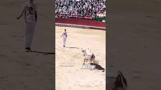  #comedy #bull #cow #basketball #natgeo #funny #reaction #respectgirl #respect #goat