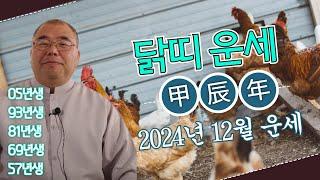 2024년 12월 닭띠 주변을 살피고 화합해야 하는데...ㅣ갑진년 닭띠운세 05년생 93년생 81년생 69년생 57년생