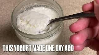 Homemade yogurt recipe