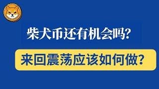 shib币 | 柴犬币 | 屎币 | 3月2日最新行情分析！柴犬币还有机会吗？来回震荡我们应该如何做？